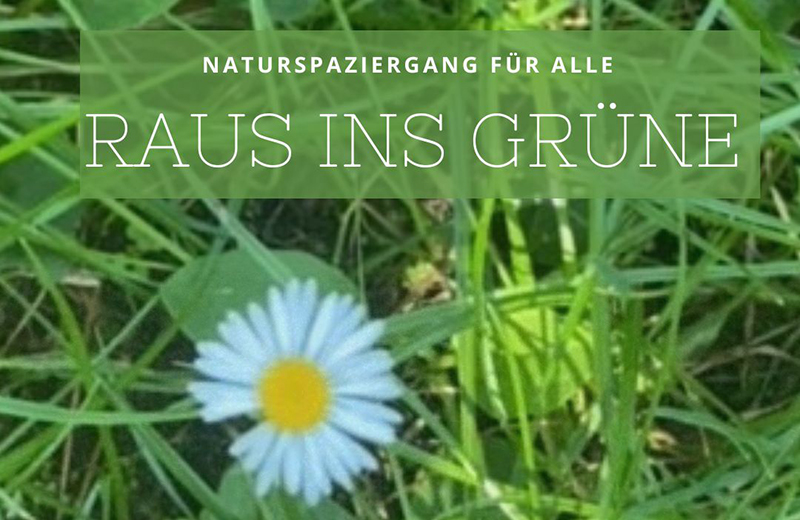 Fluchtgeschichte Raus ins Grüne - Naturspaziergang